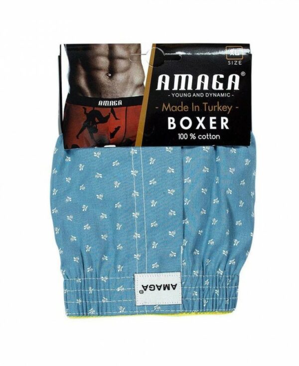 Amaga Young And Dynamic Boxer
