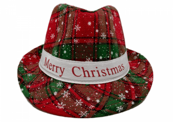 Merrycruze Merry Christmas Hat Cap