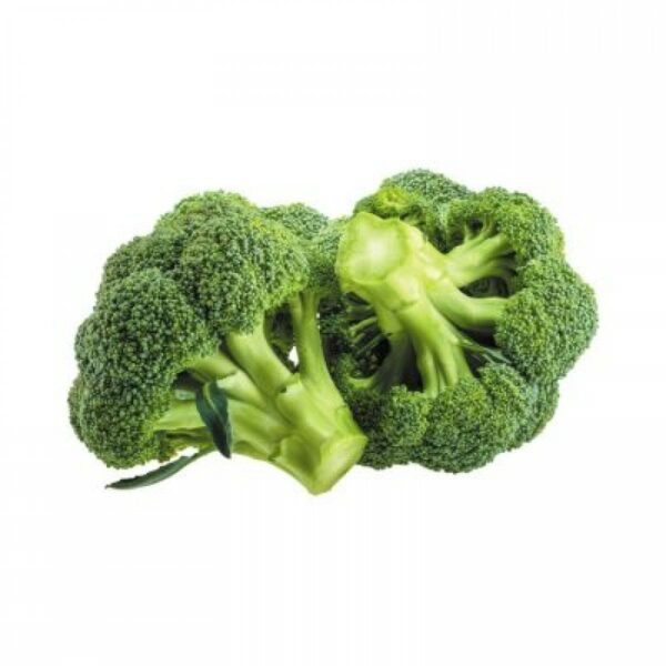 MD Broccoli