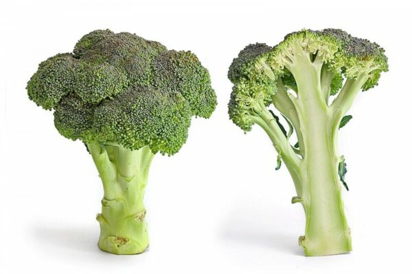 Broccolli (Big)