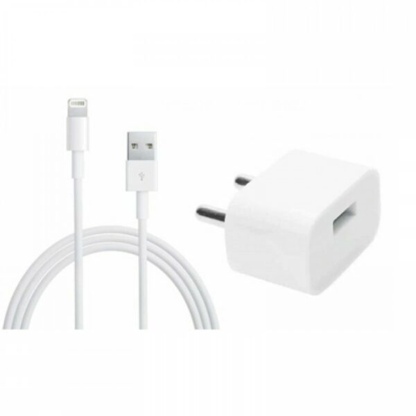 iPhone X Charger