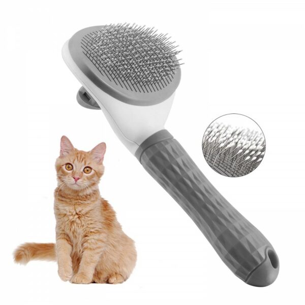 Self Cleaning Brush