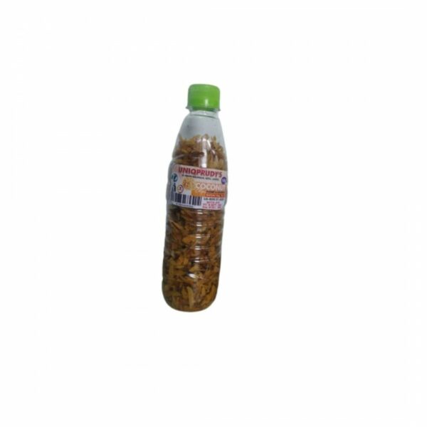 Coconut Chips Bottle (100g)