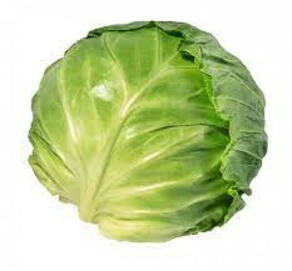 Cabbage