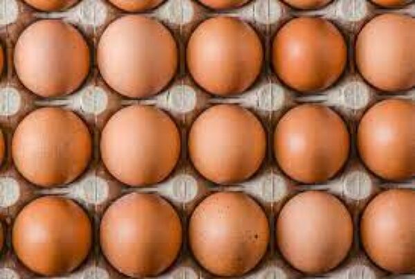 Yosemite Eggs in15