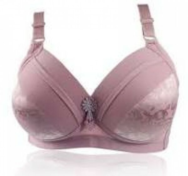 Single Bra All Colour Mixed