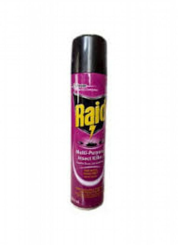 Raid Multi-Purpose Insect Killer 300ml