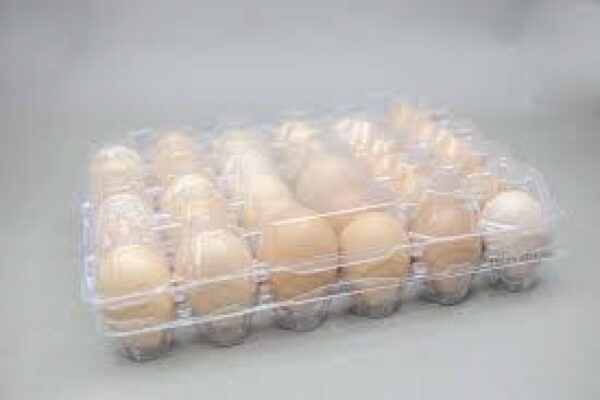 Yosemite Eggs in30