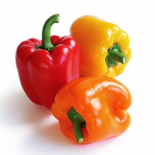 Capsicum Pepper