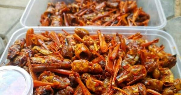 Fresh Fara (250g) Plastic Pack