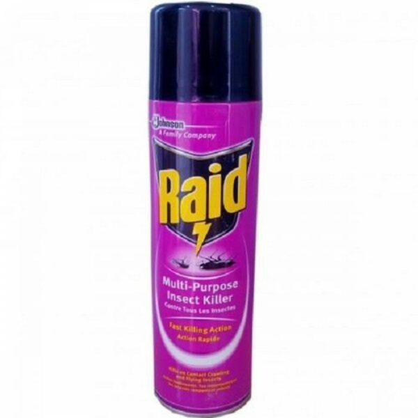 Raid Multi-purpose Insect Killer 500ml
